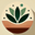 dryoasisplants logo