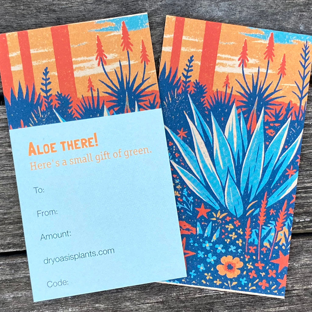 Dry Oasis Plants gift card